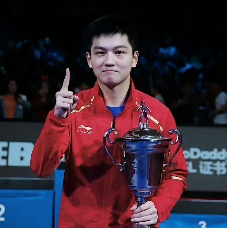 比利时乒乓球队力克瑞典乒乓球队，王皓惊艳世界的简单介绍