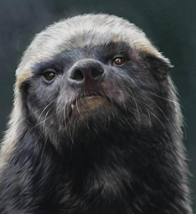 开云体育登录-里尔毫不畏惧尼姆，全队备战决心取胜