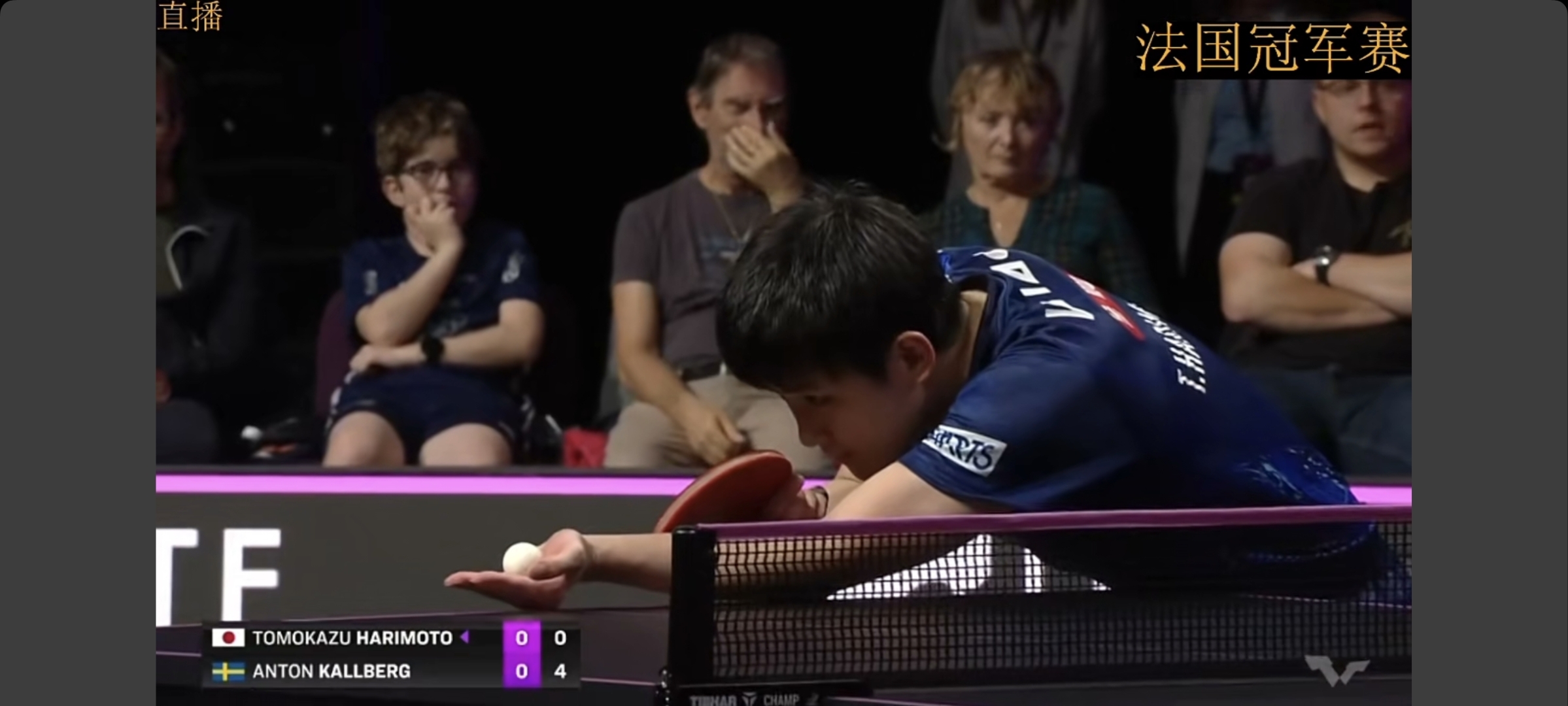 包含德国队绝杀法国队，张本智和点燃赛场的词条