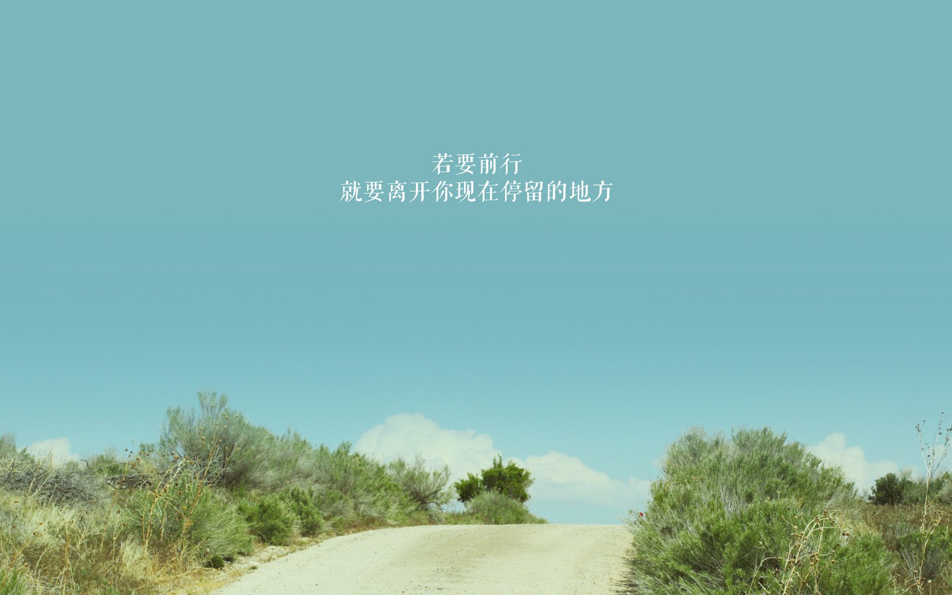 开云APP-步行者一波流席卷森林狼，武切维奇末节封神定乾坤