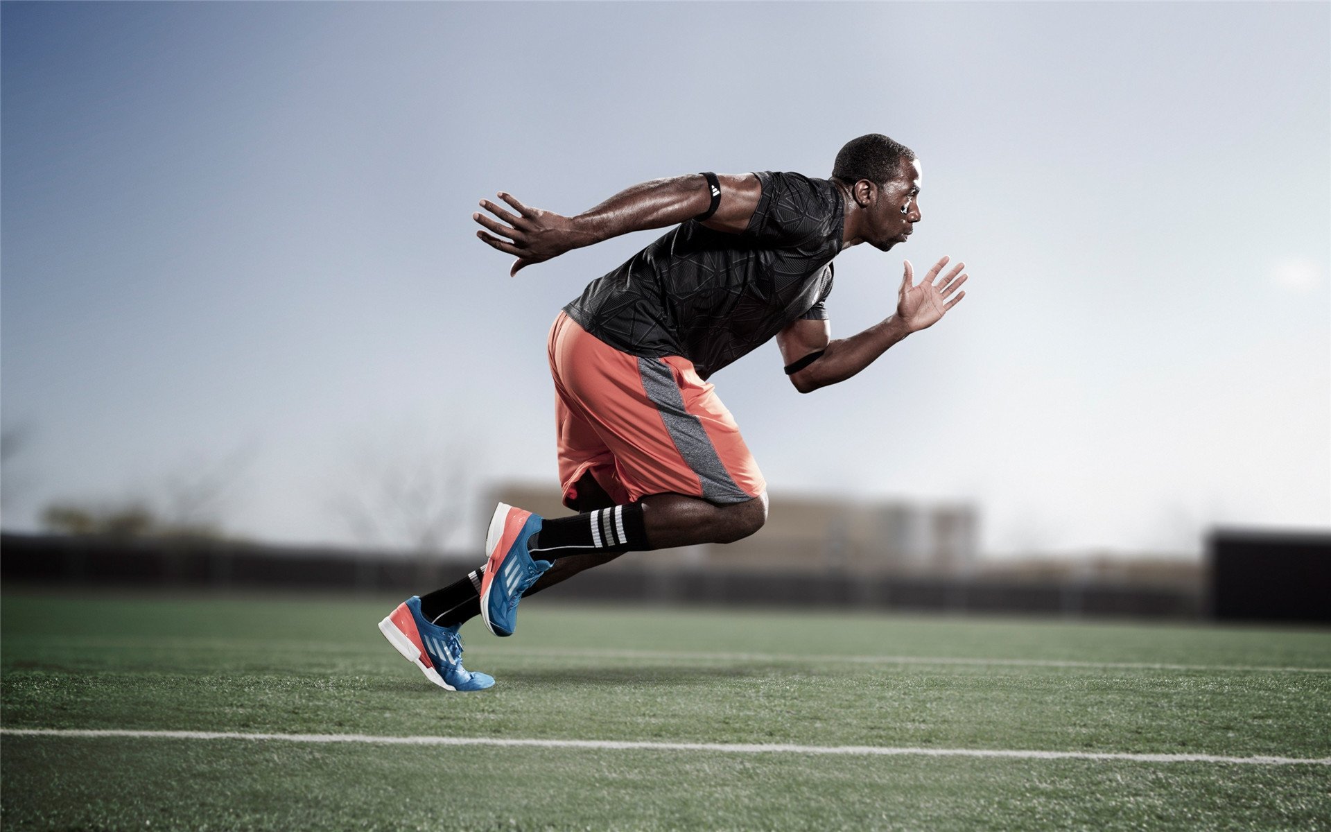 霍勒迪末节统治攻防，黄蜂蛰伤灰熊锁定关键胜利