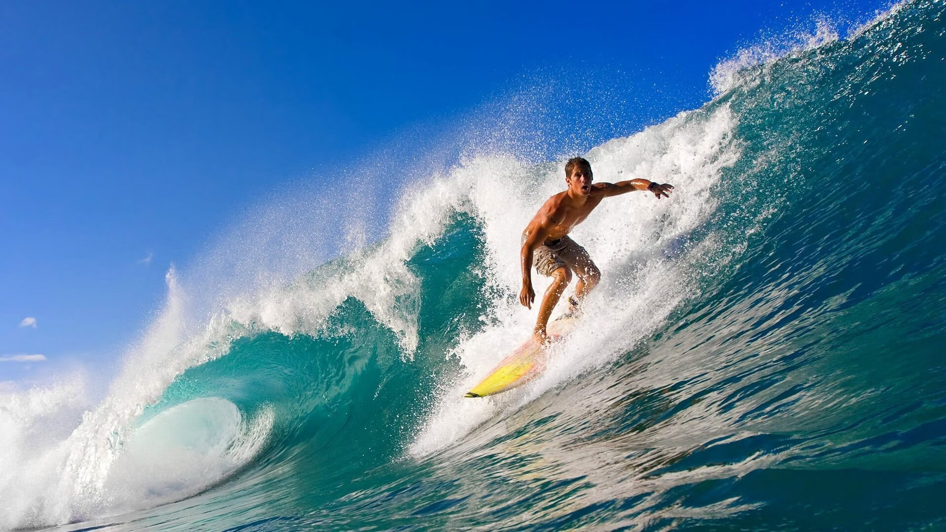 文班亚马的魔法，当国王在吉林爆冷，一人如何改写全队节奏？