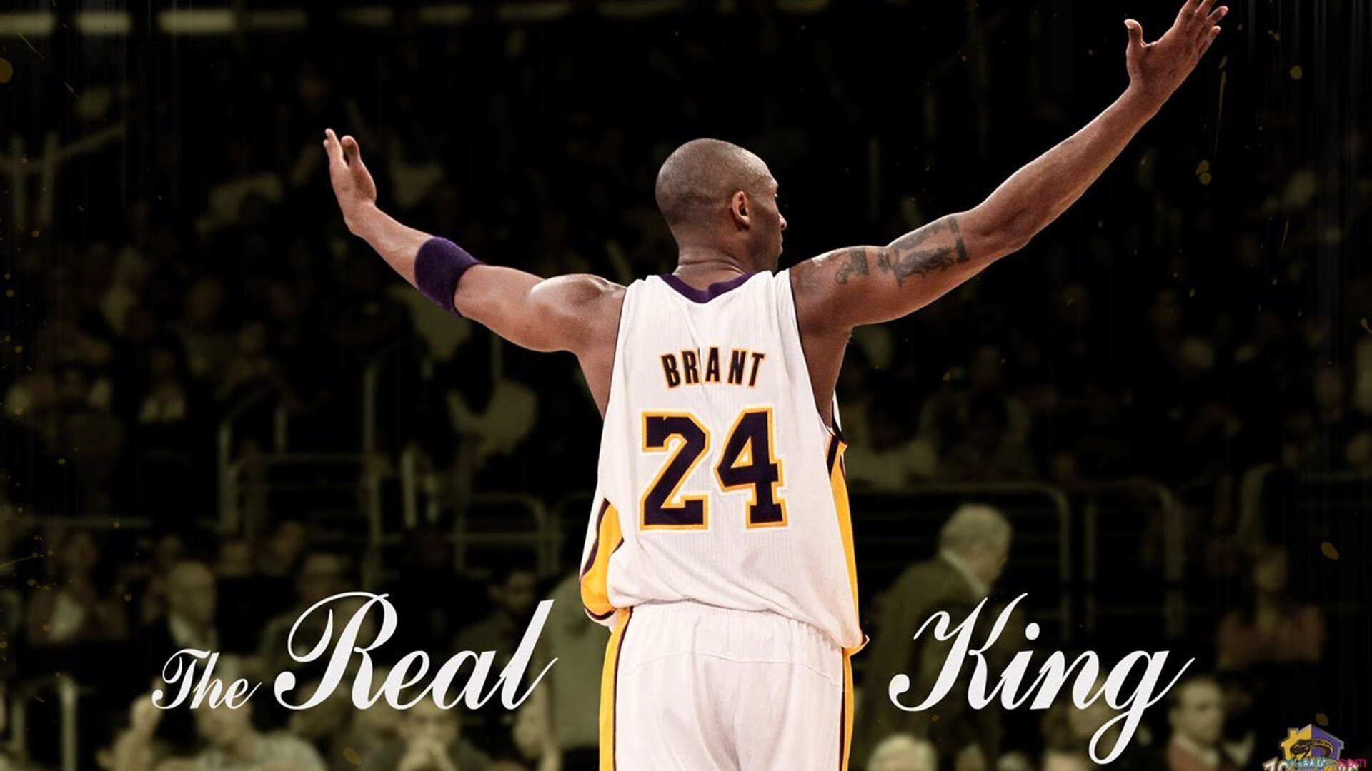 羽坛新格局？印度队横扫泰国队背后，郑思维高光表现揭示亚洲力量变迁